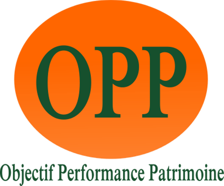 Logo minisite